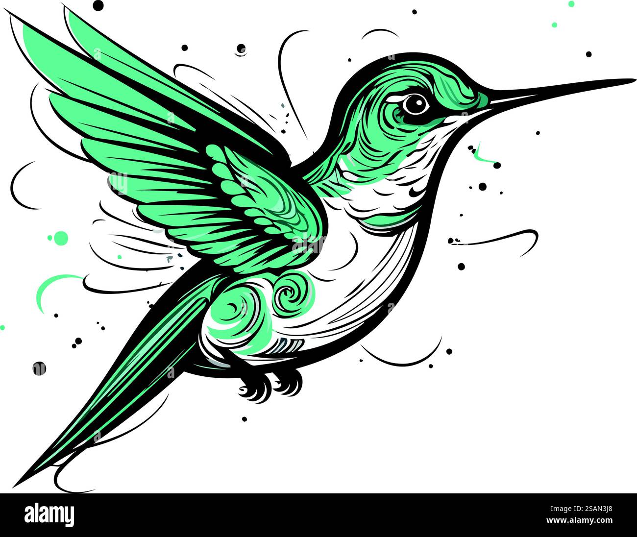 Hummingbird. Hand drawn vector illustration isolated on white ...