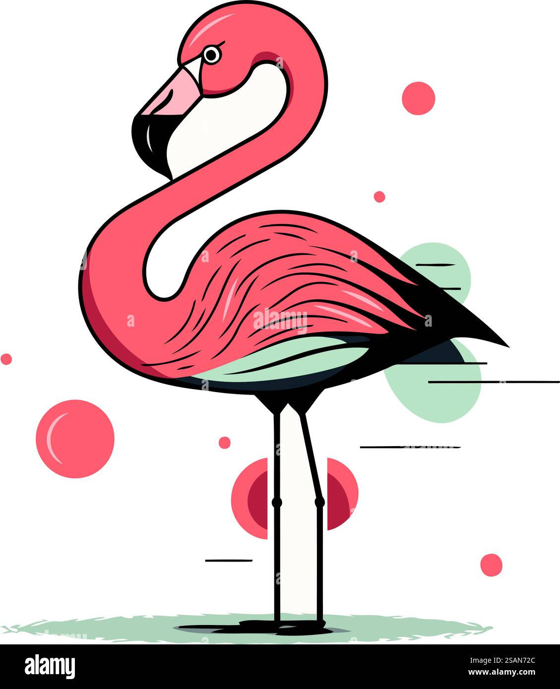 Flamingo vector illustration. Isolated on a white background Stock ...