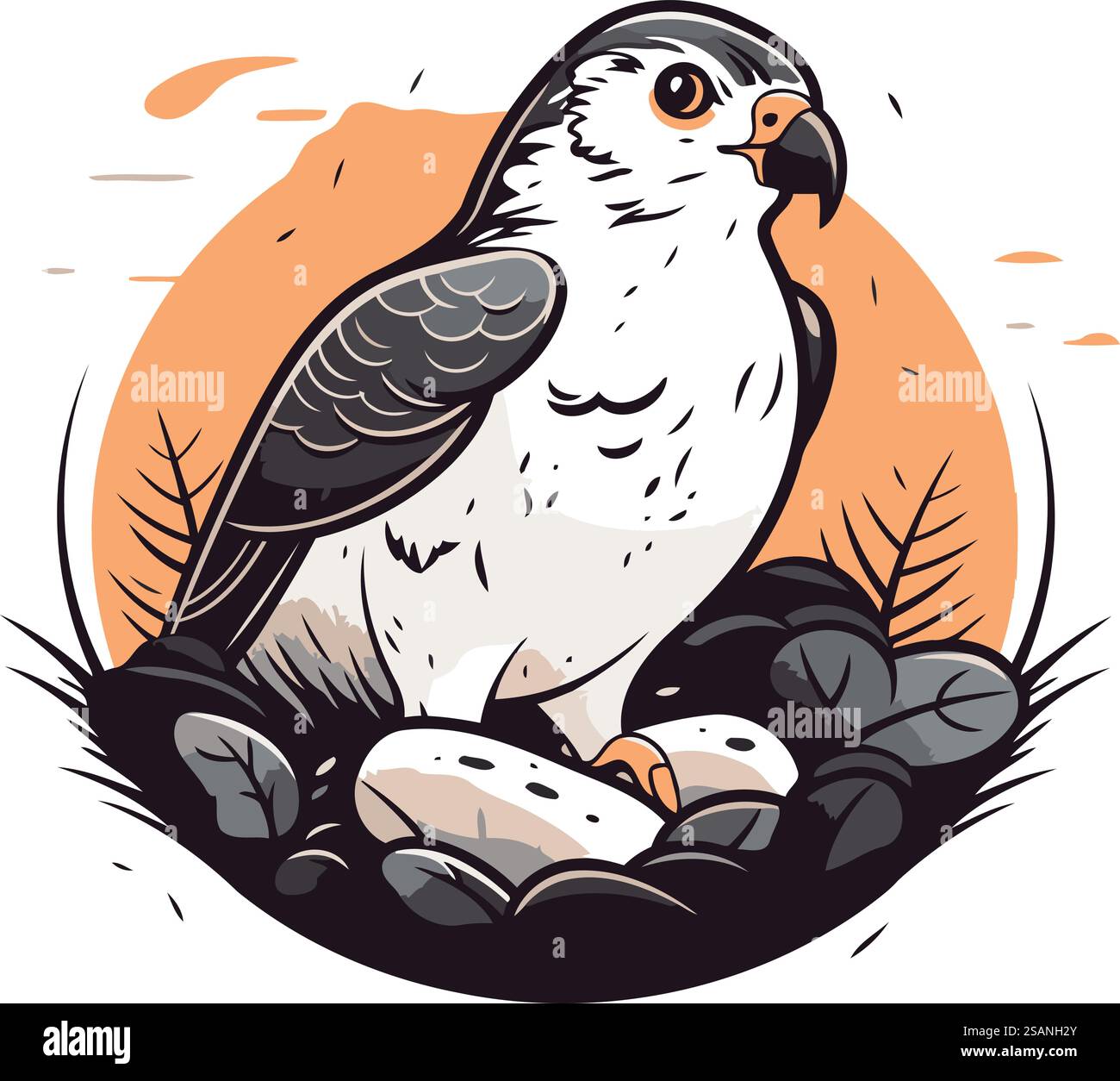 Sitting falcon Stock Vector Images - Alamy, image size:1300x1254