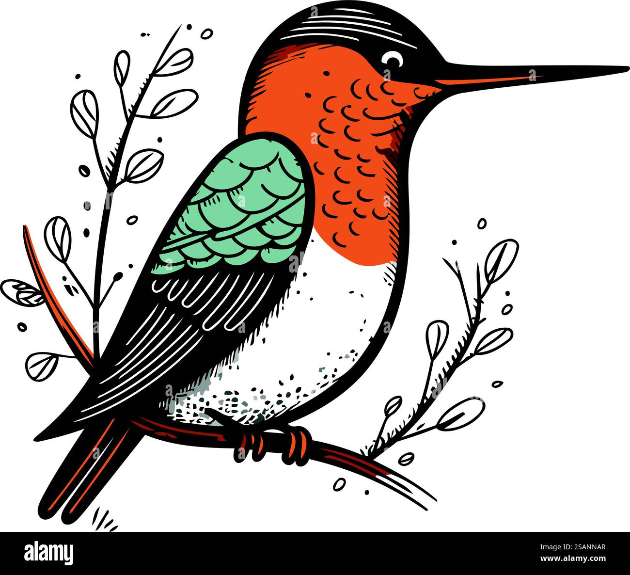 Kingfisher on the branch Stock Vector Images - Alamy