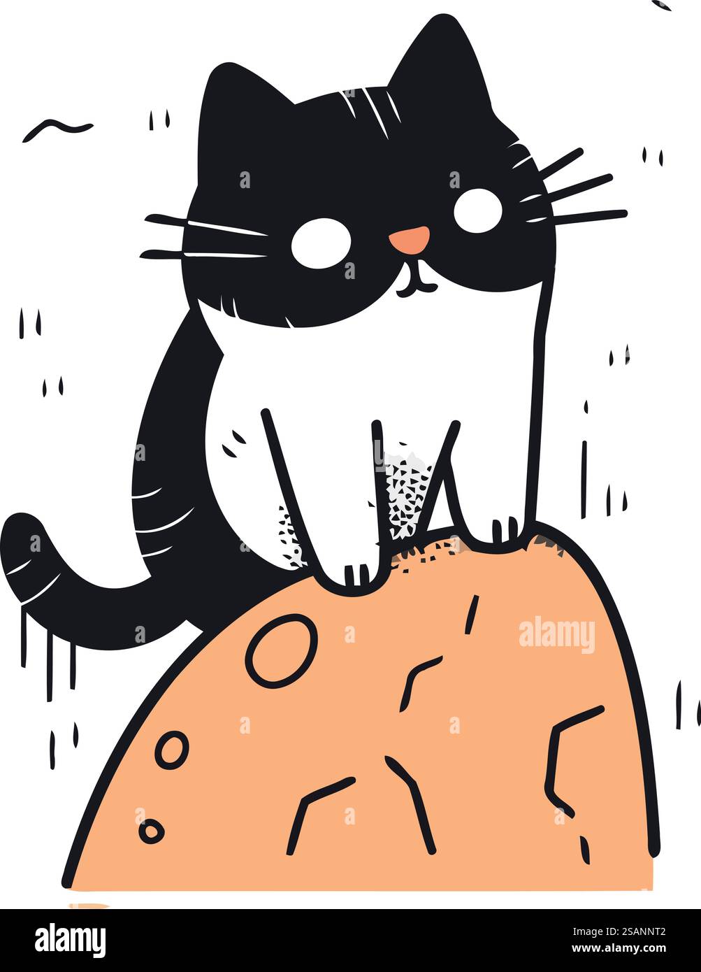 Cute black and white cat sitting on a rock. Vector illustration Stock ...