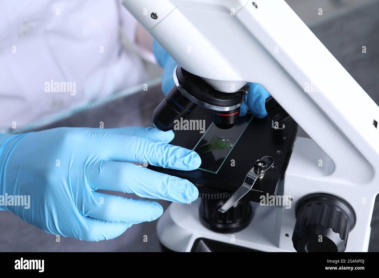 Laboratory testing. Scientist examining sample on slide under ...