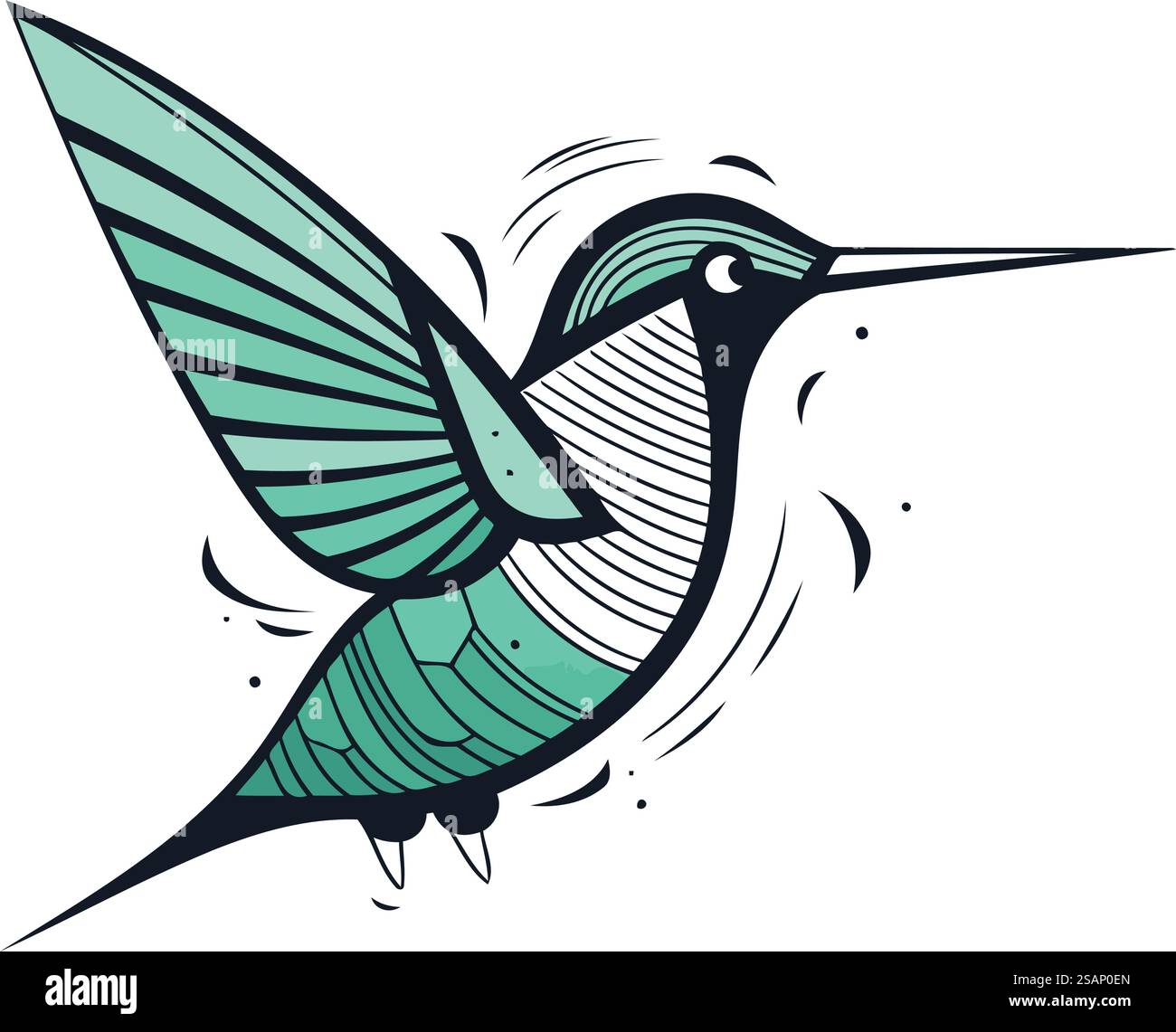 Vector Hummingbird Hummingbird vector illustration. Hand drawn hummingbird isolated on ...