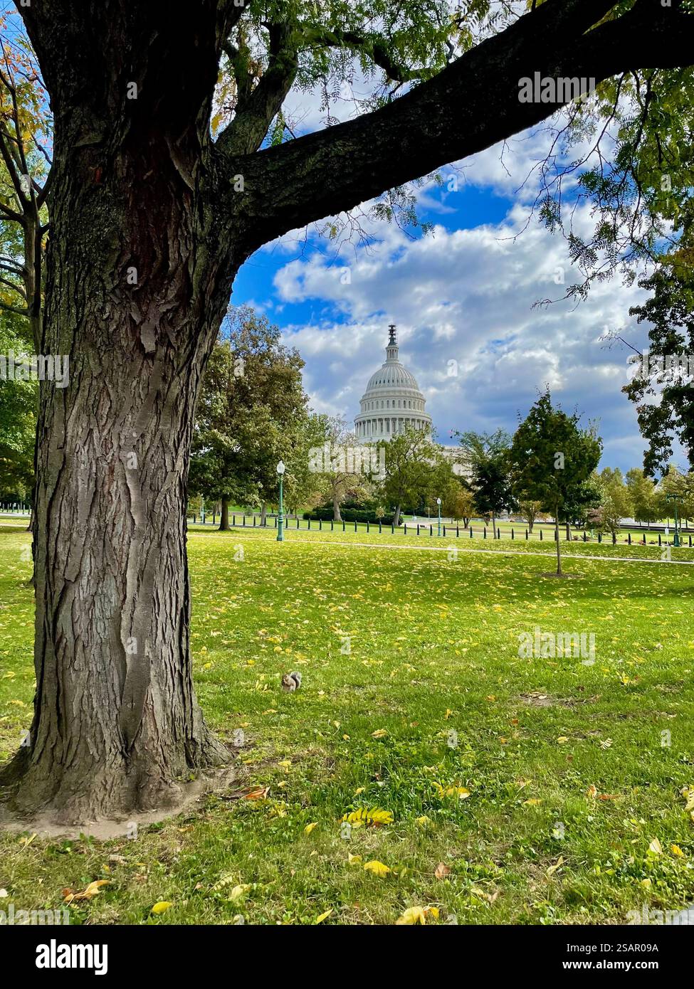 Capitol Hill view from Senate Park, Washington DC, U.S.A. - Smartphone Captured Stock Image