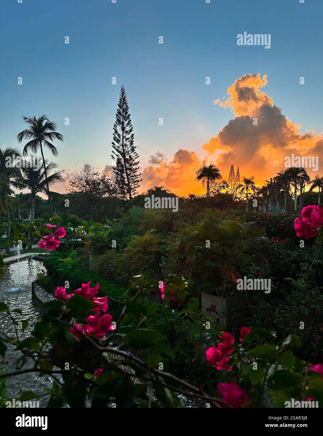 Tropical Sunset - Smartphone Captured Stock Image