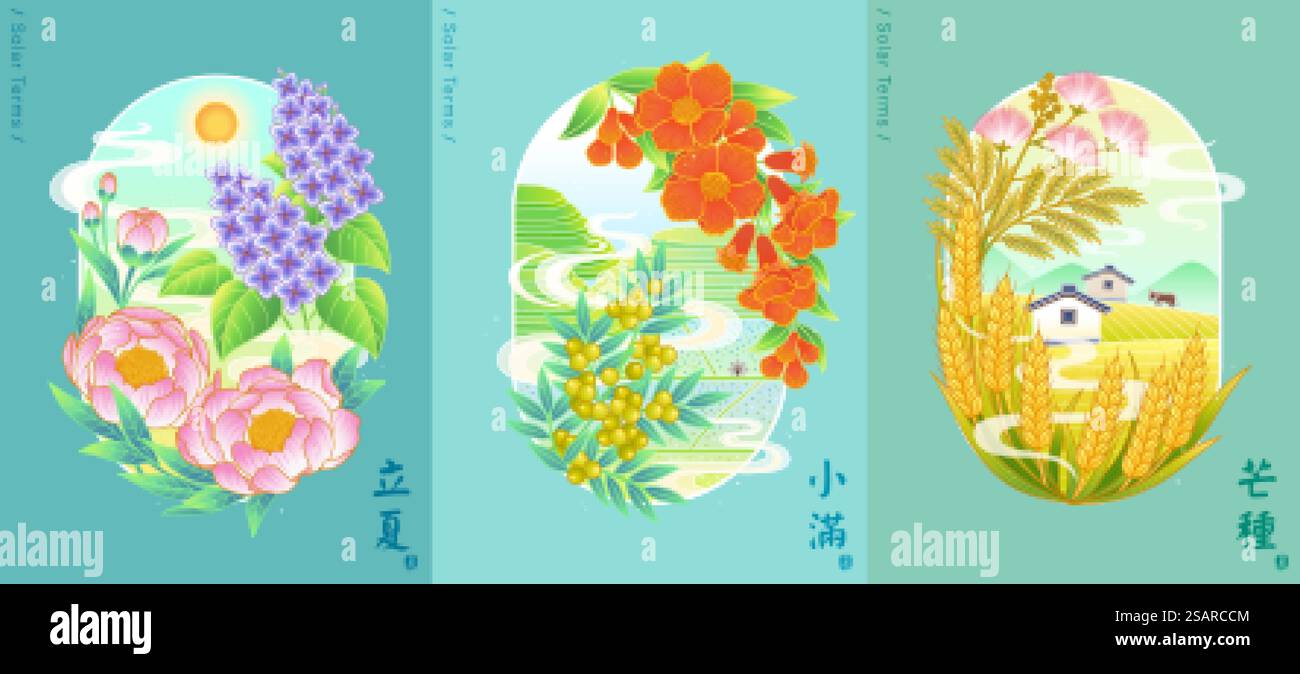 An 24 Stock Vector Images Alamy An 24 Stock Vector Images Alamy