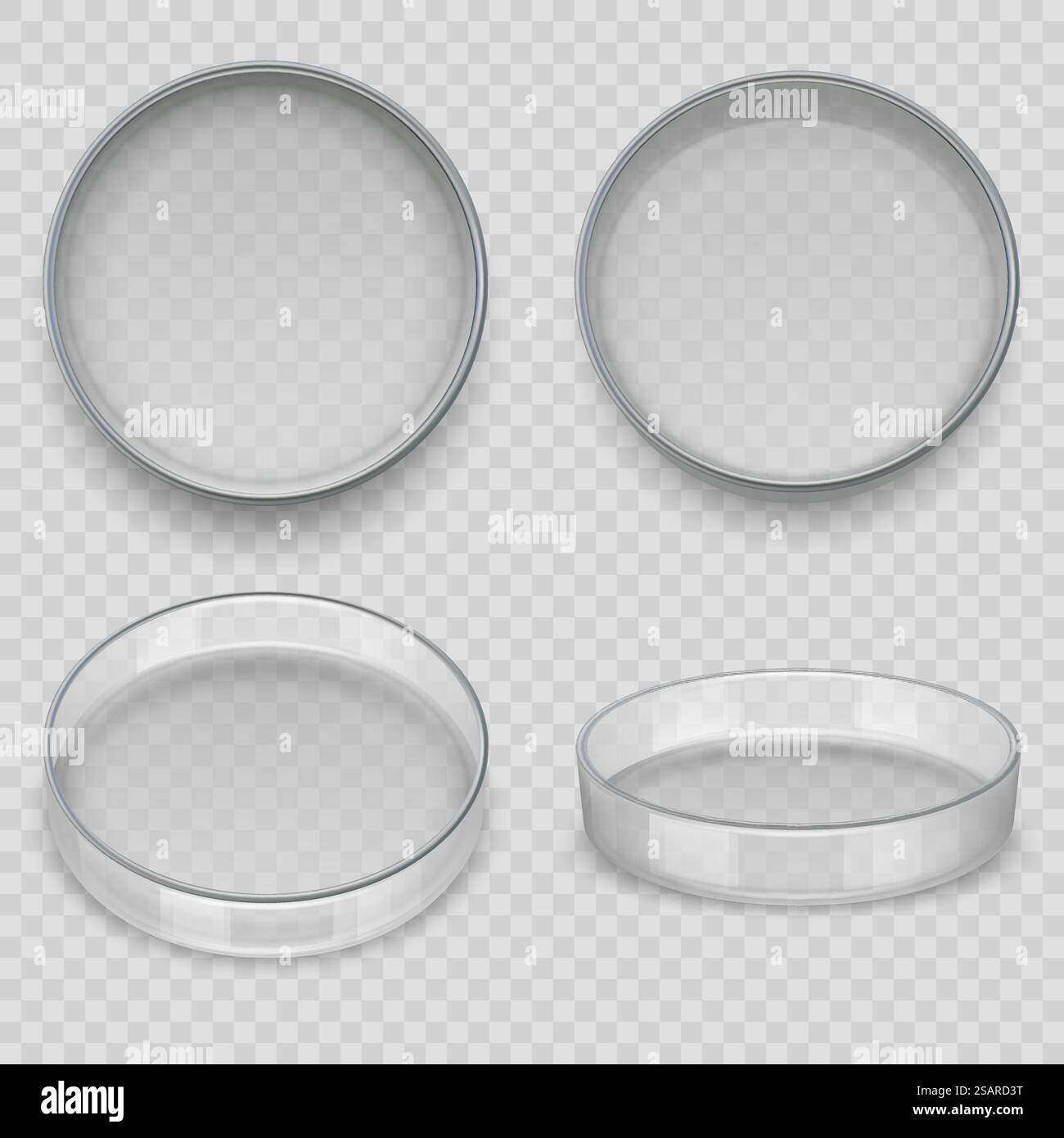 Petri dish. Realistic transparent dishes for lab experiments medical pharmacy vessel for ...