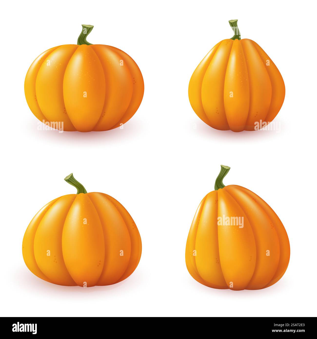 Isolated pumpkins on white background. Set of autumn elements. Vector illustration Stock Vector