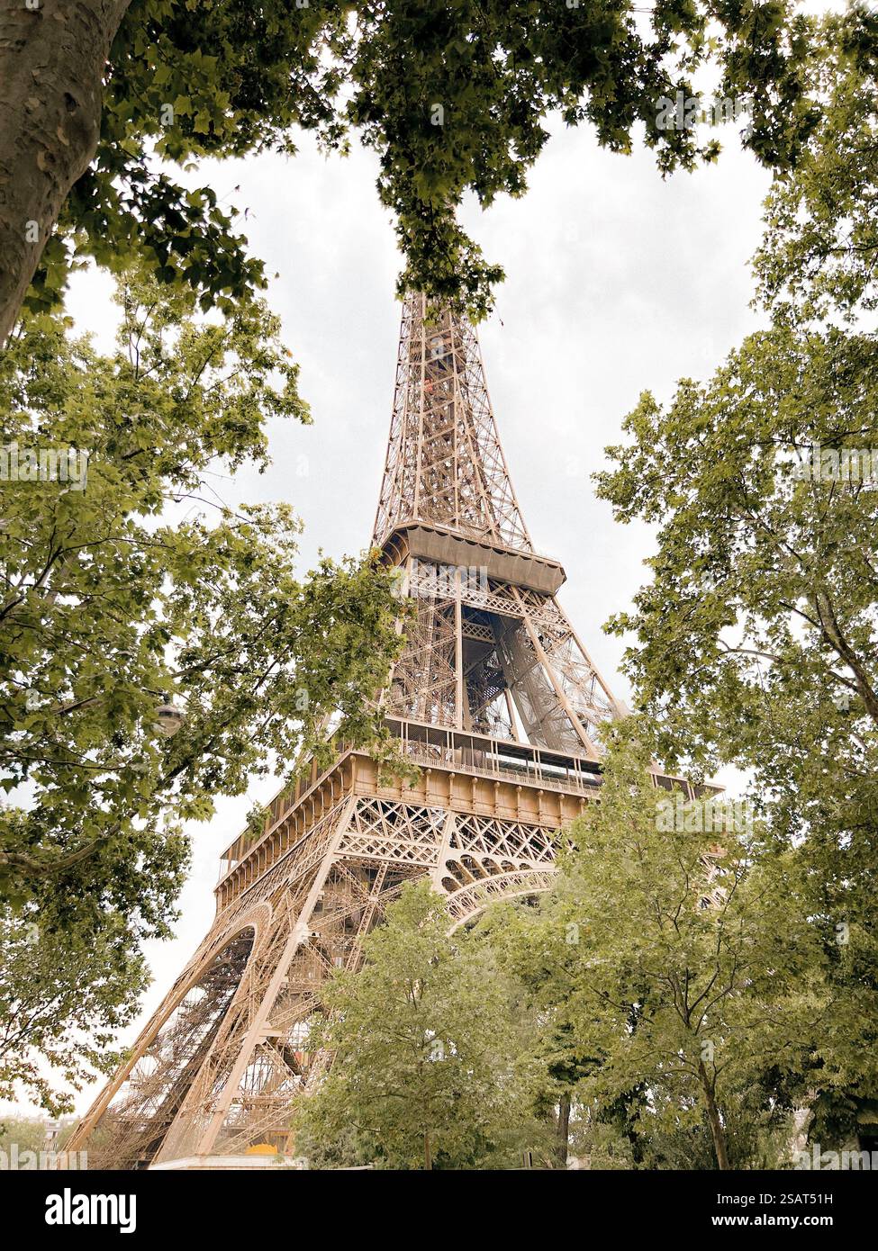 Eiffel Tower framed by green trees and branches - Smartphone Captured Stock Image