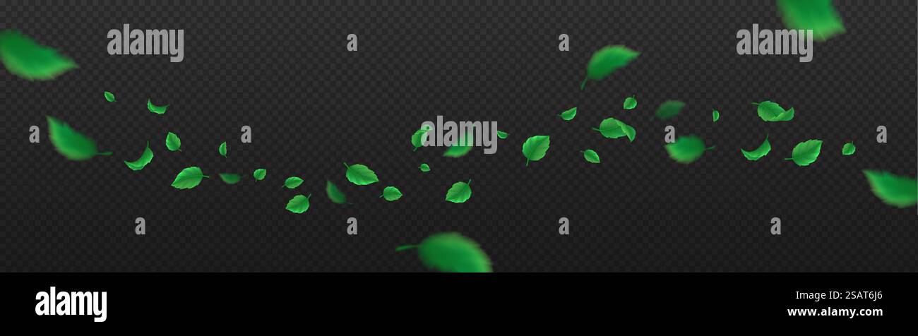 Flying green leaves realistic vector illustration. Fresh summer plants ...