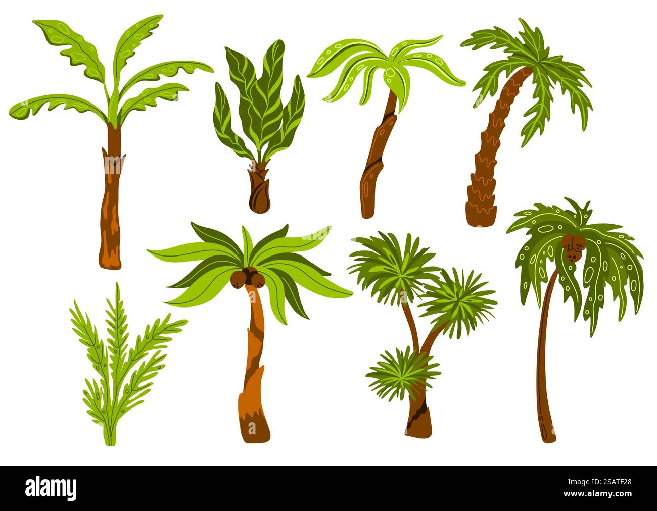 Palm trees. Decorative tropical trees with different shapes leaves, botanical exotic plants, jungle coconuts, miami beach flora, subtropical climate, swanky vector cartoon flat style isolated set. Palm trees. Decorative tropical trees with different shapes leaves, botanical exotic plants, jungle coconuts, miami beach flora, subtropical climate, swanky vector cartoon flat set Stock Vector