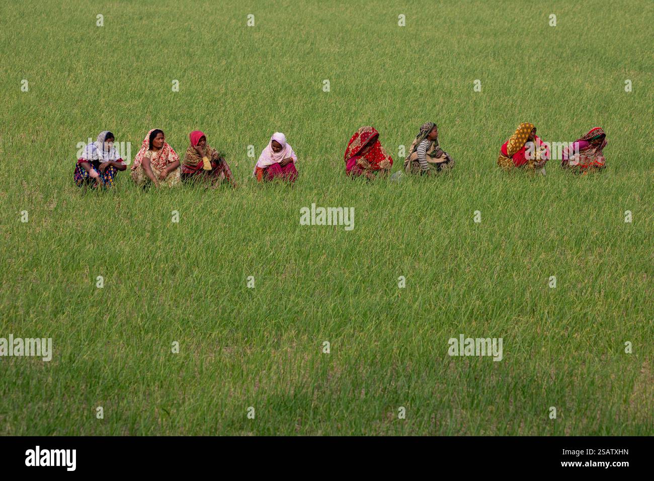 Economic empowerment hi-res stock photography and images - Alamy