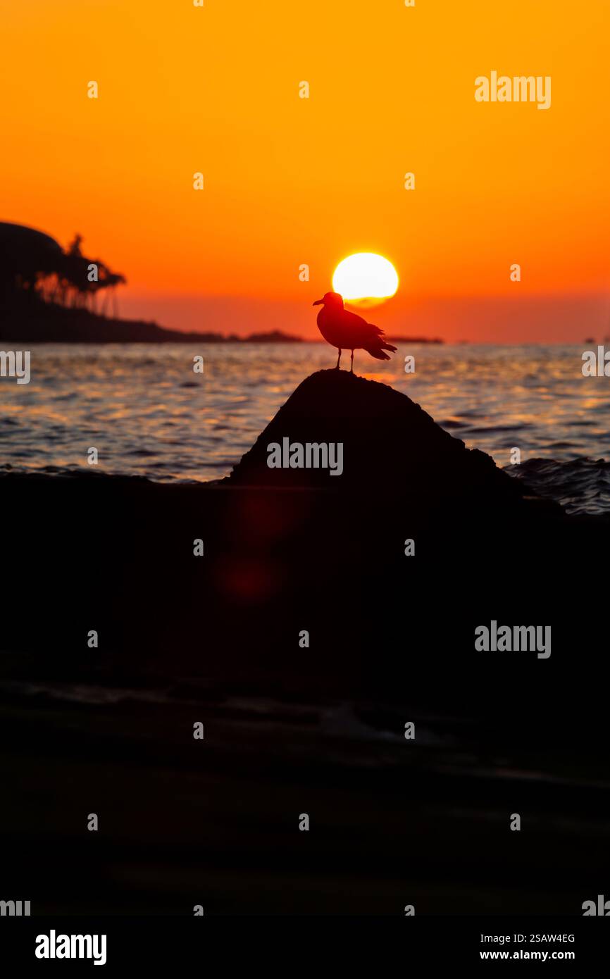 Rising sun on sea hi-res stock photography and images - Alamy
