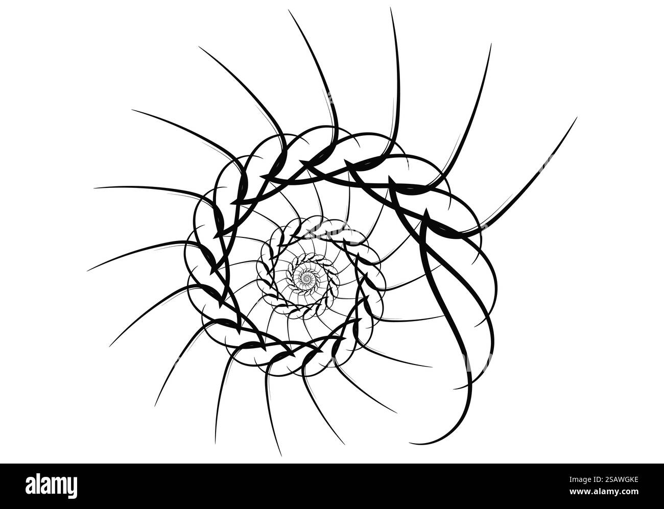 Spiral vector design elements. Abstract lines black and white. Swirl ...