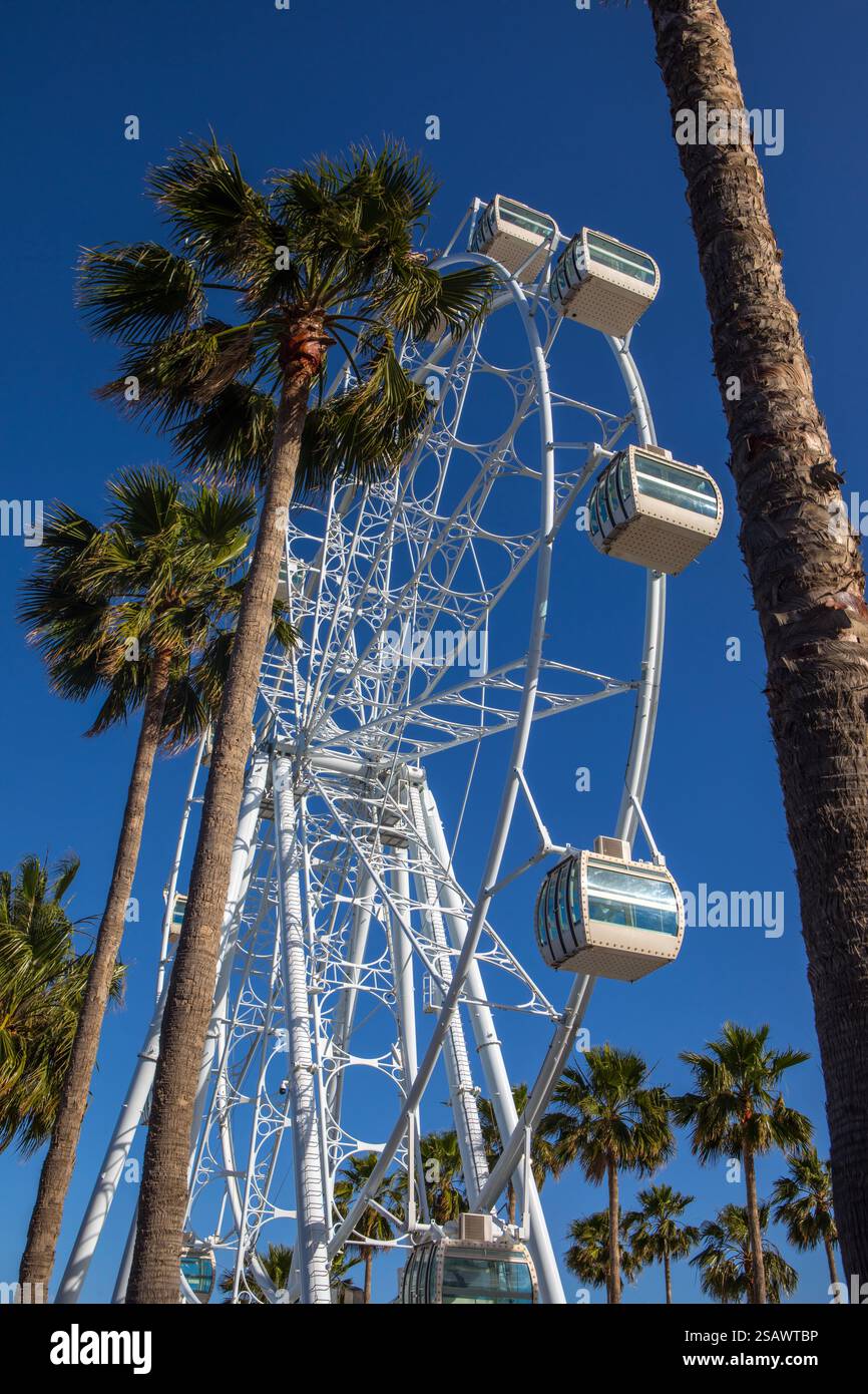 A view of the Mirador Princess ferris wheel in the beautiful coastal ...