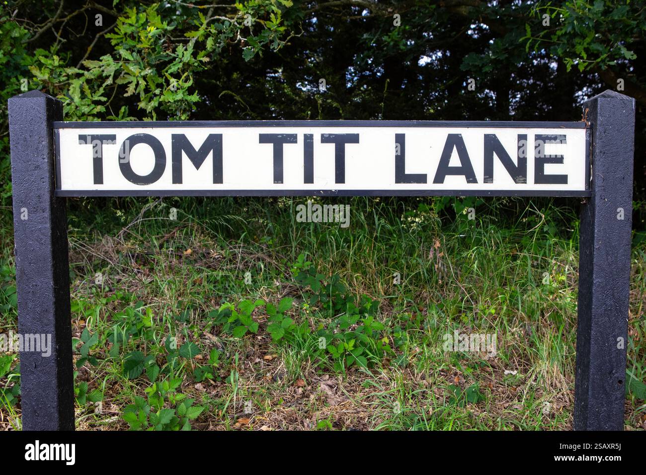Street sign for Tom Tit Lane in Essex, UK Stock Photo - Alamy