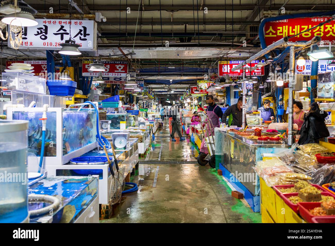 Geopolitical Undercurrents: Why Seoul’s Tourism Boom Matters to Washington and Beijing