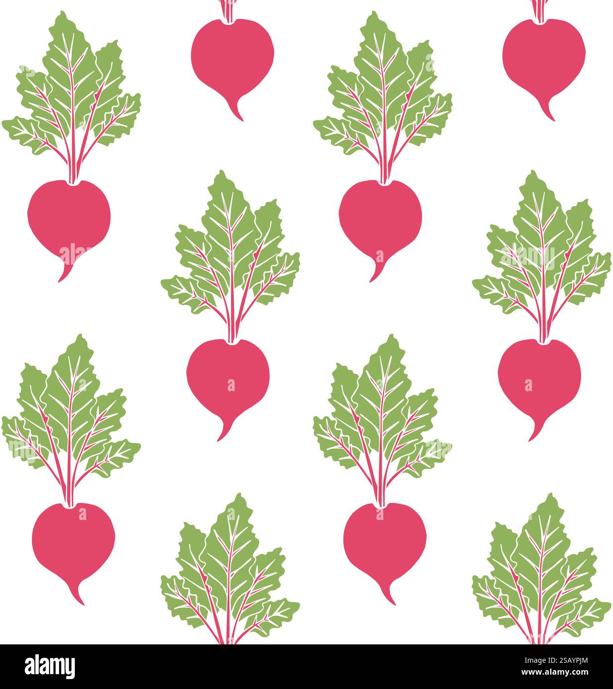 Vector seamless pattern of hand drawn doodle sketch beet root isolated on white background Stock Vector