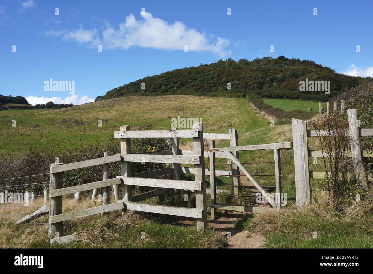 Kissing Gate Looking Towards Black Covert On Langdon Hill, Dorset, England, UK in September Stock Photo