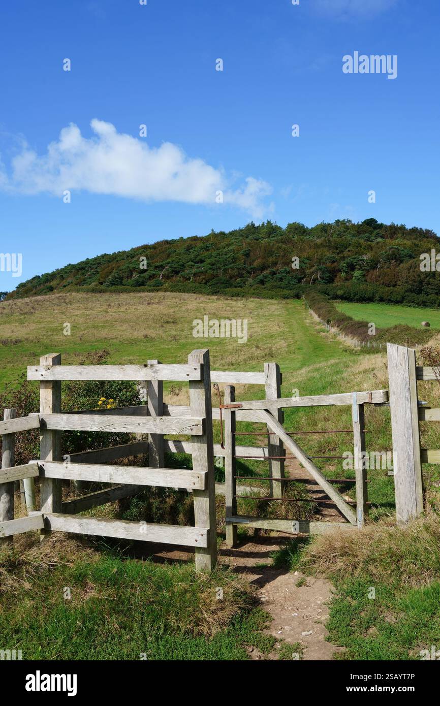 Kissing Gate Looking Towards Black Covert On Langdon Hill, Dorset, England, UK in September Stock Photo
