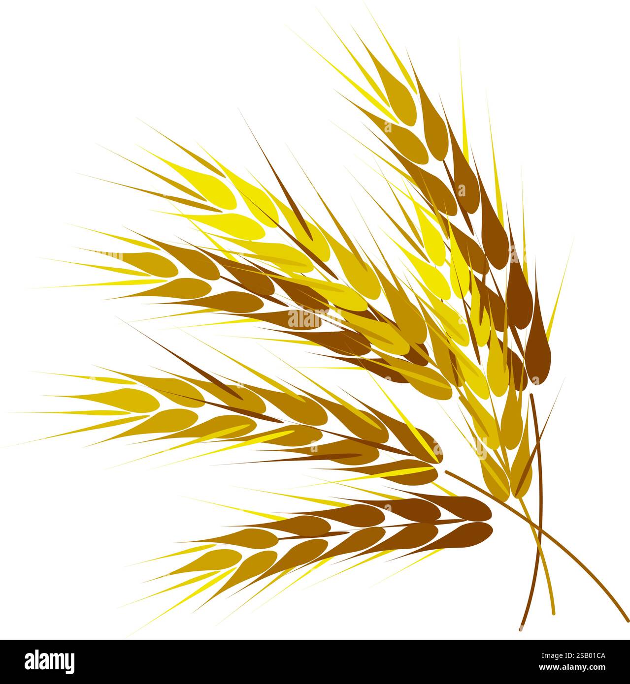 Golden wheat ears. Isolated on a white background. Vector illustration Stock Vector