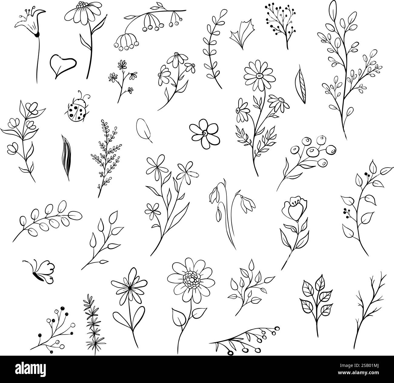 Set of doodle plants. Hand drawn illustration in monochrome black and ...