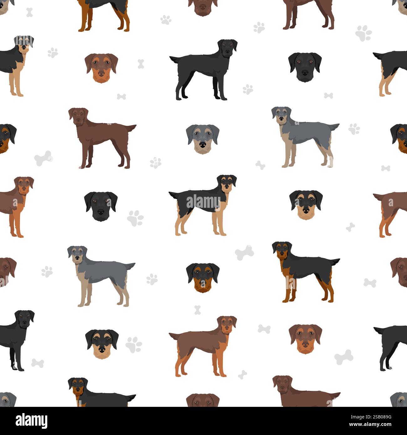 Doodleman pinscher Stock Vector Images - Alamy, image size:1300x1390