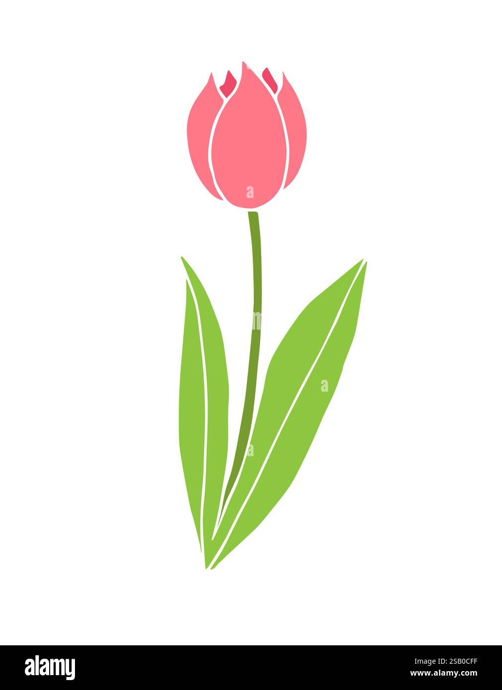 Vector hand drawn doodle sketch tulip flower isolated on white ...