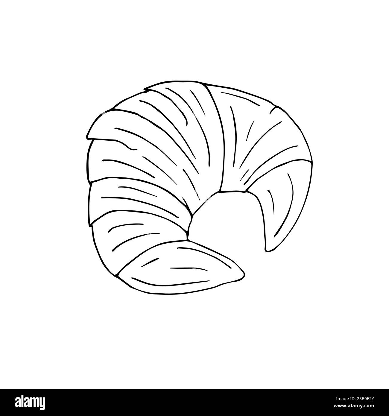 Vector hand drawn doodle sketch croissant isolated on white background ...