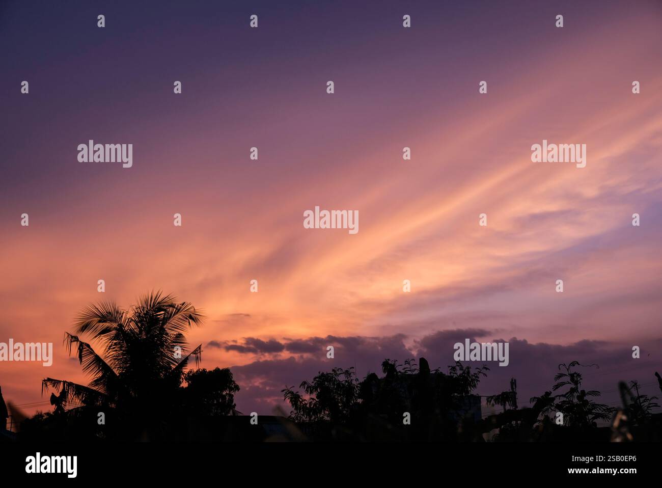 Beautiful sunset with silhouettes of trees Stock Photo - Alamy