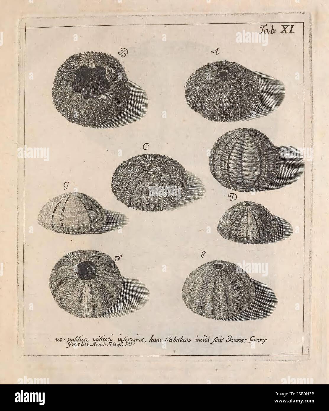 Surface details highlighted hires stock photography and images Alamy