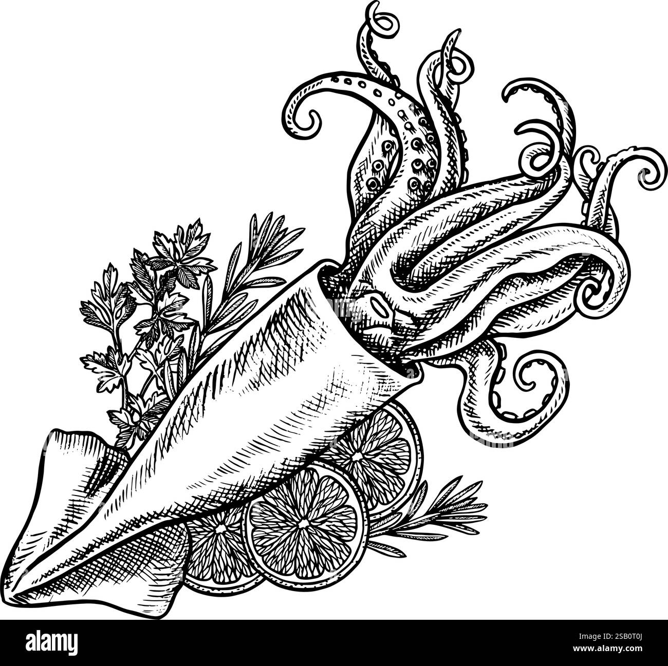 Squid with lemon and herbs. A hand-drawn vector graphic illustration. Black and white image of seafood. Separate from the background. Perfect for menu Stock Vector