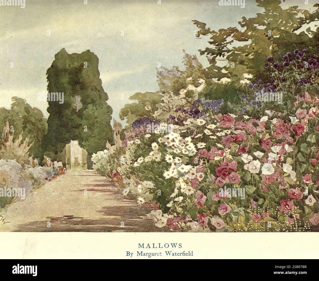 Showcasing the beauty of nature and tranqui hi-res stock photography ...