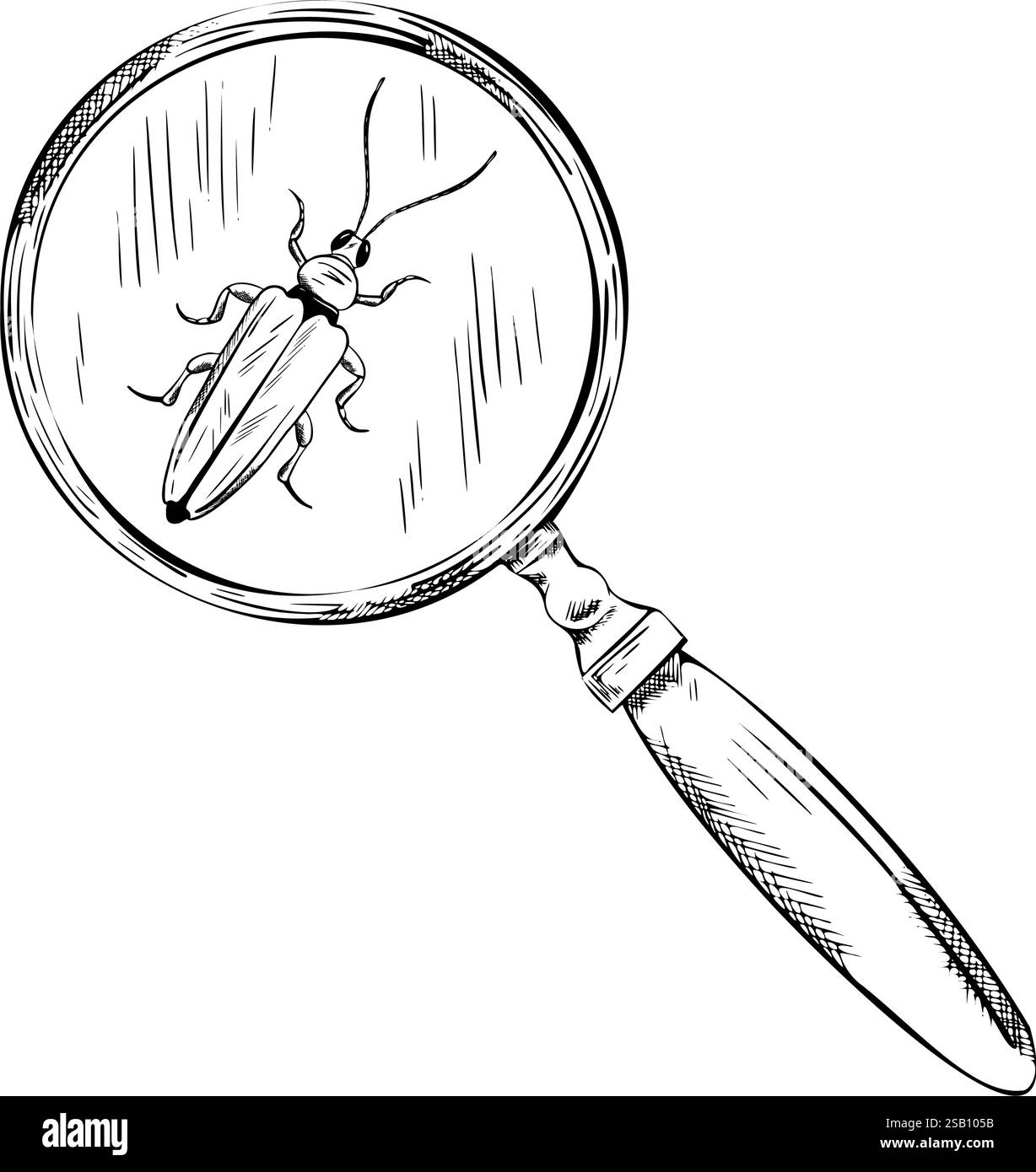 Magnifying Insect Art Example Vector line illustration of magnifying glass with beetle. Hand ...
