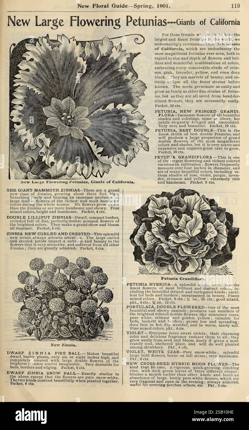 Conard's Spring New floral guide, West Grove, Pa, Conard & Jones Co, 1901, flowers ...