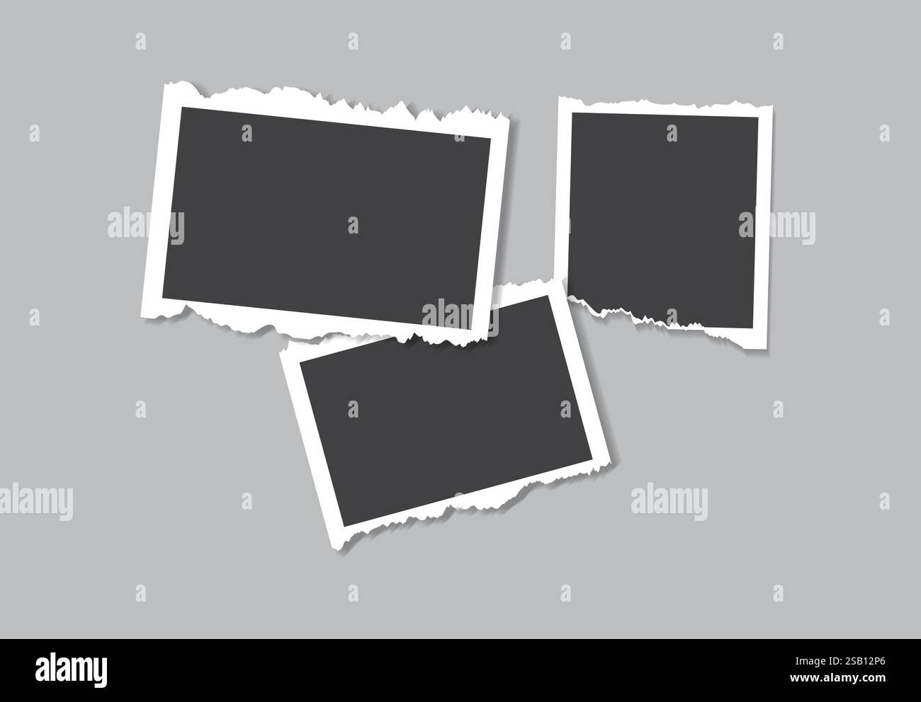 Simple elegant mood board photo collage white background Stock Vector