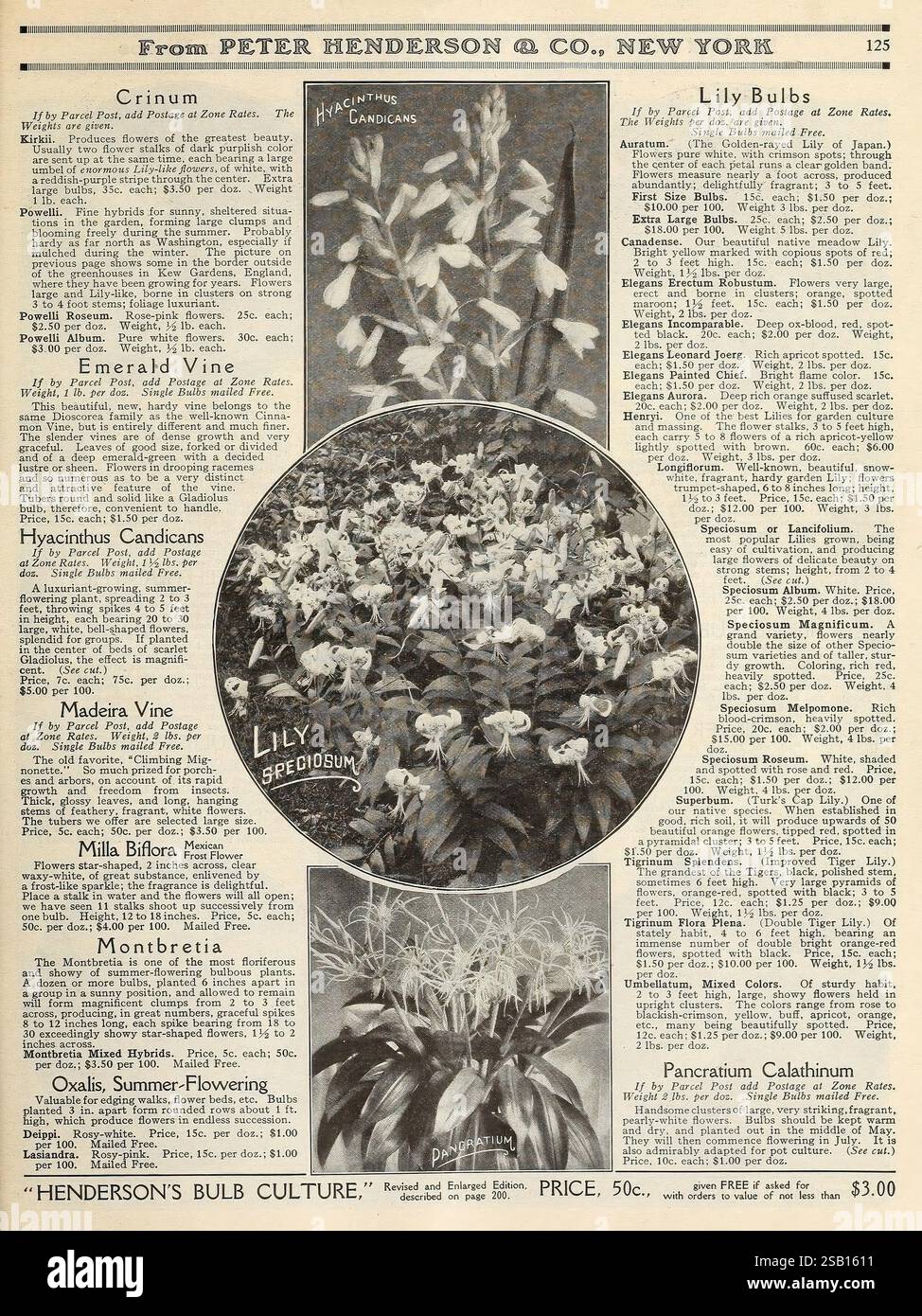 Botanical catalog layout hires stock photography and images Alamy