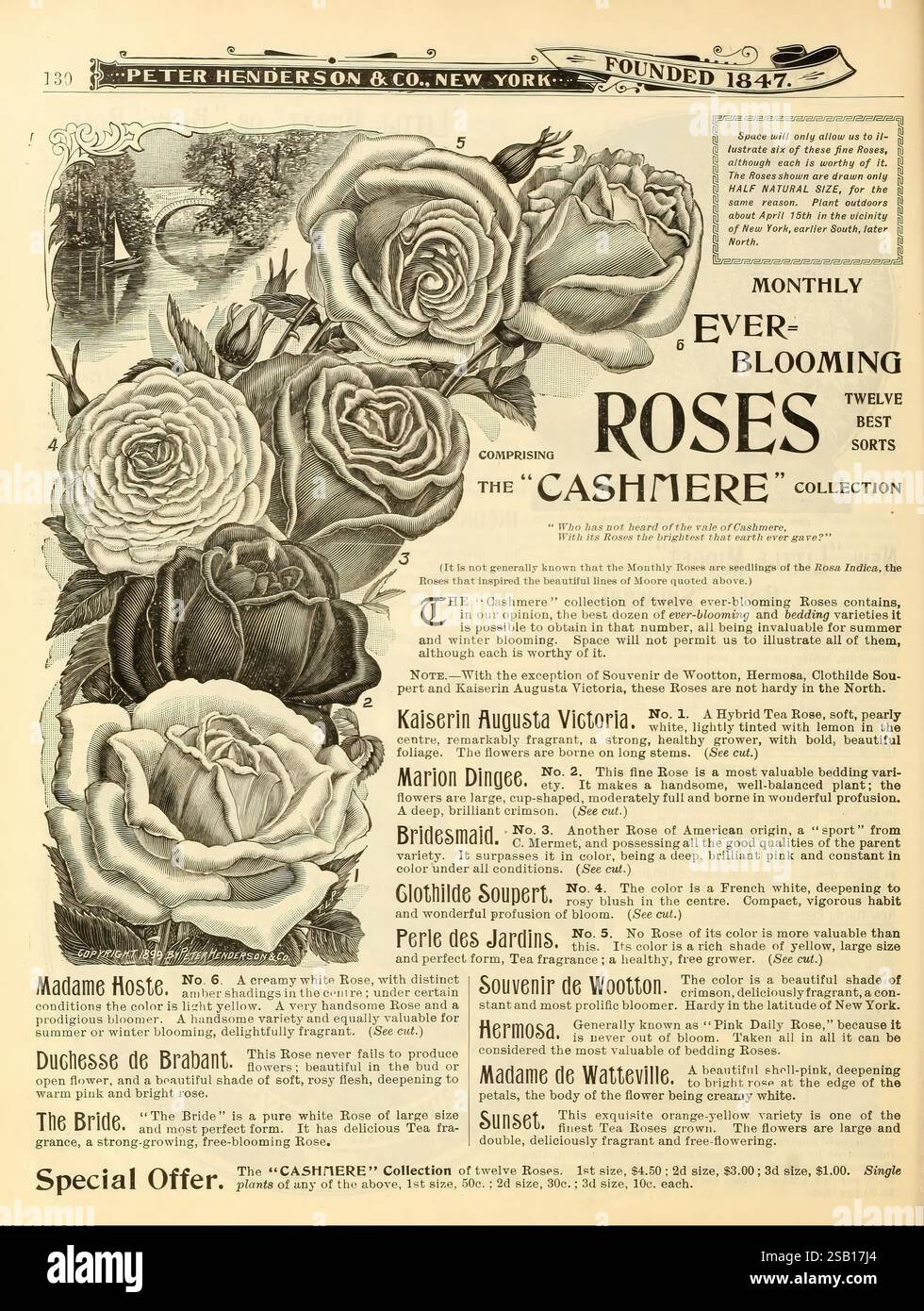 Historic catalog showcases hires stock photography and images Alamy