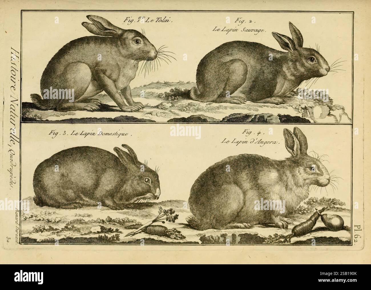 Bottom right illustration depicts hi-res stock photography and images ...