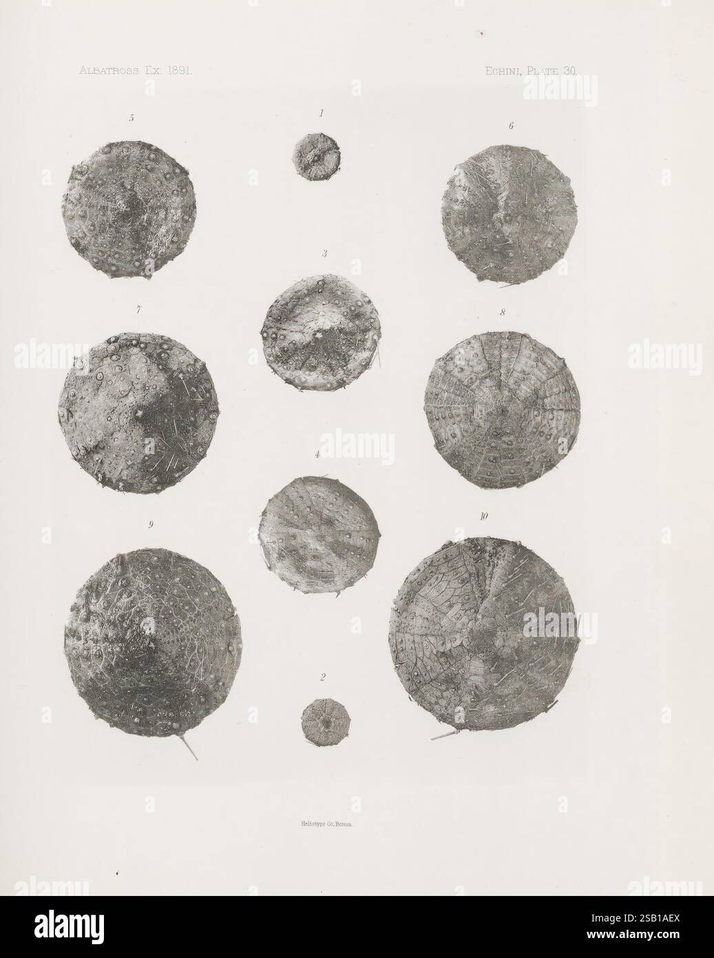 Two distinct circular objects hi-res stock photography and images - Alamy