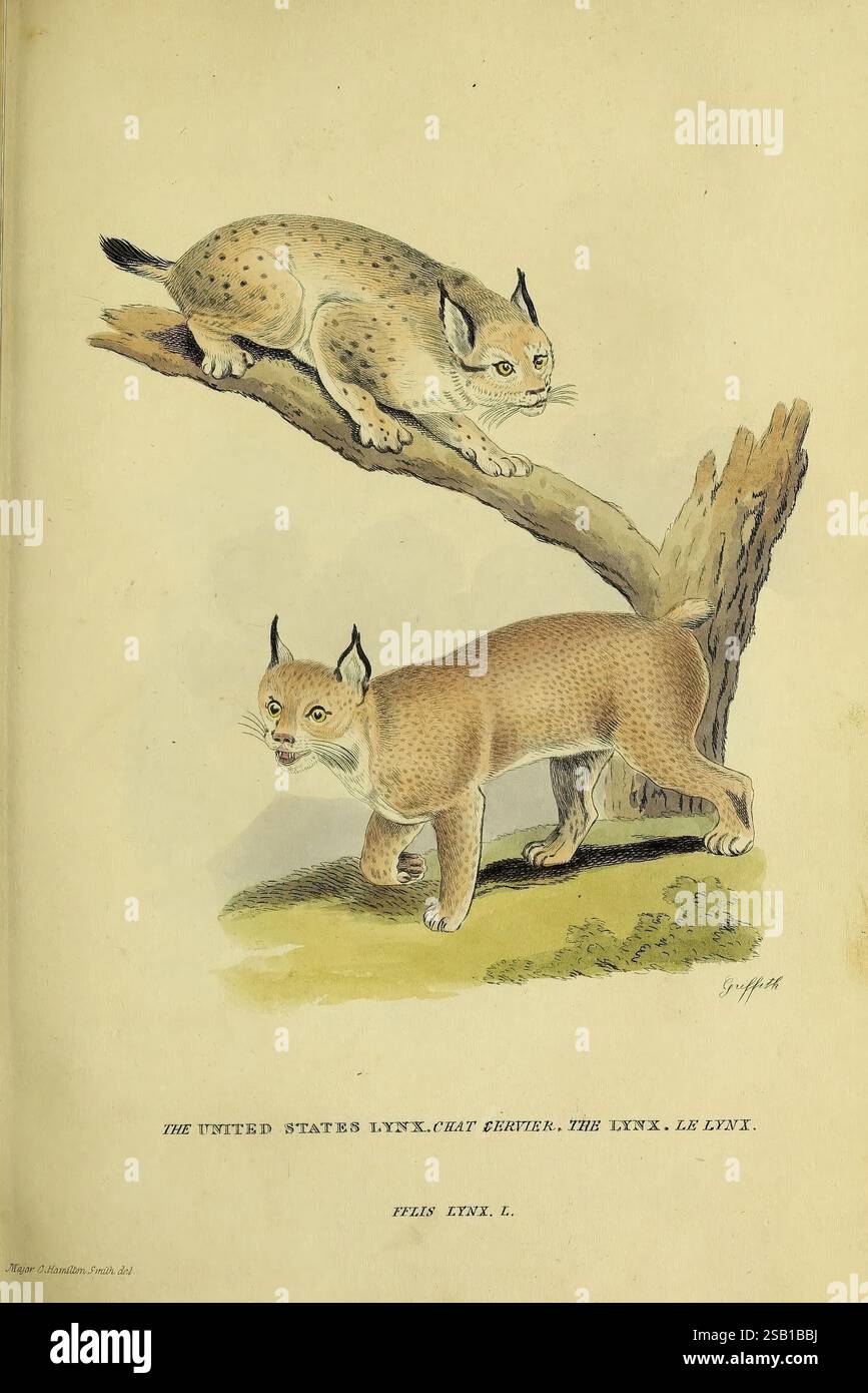 Branch exhibiting hi-res stock photography and images - Alamy