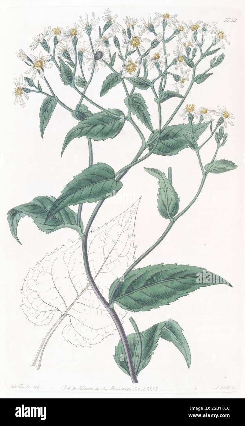 Edwards's botanical register, London, James Ridgway, 1829-1847, 1829 ...