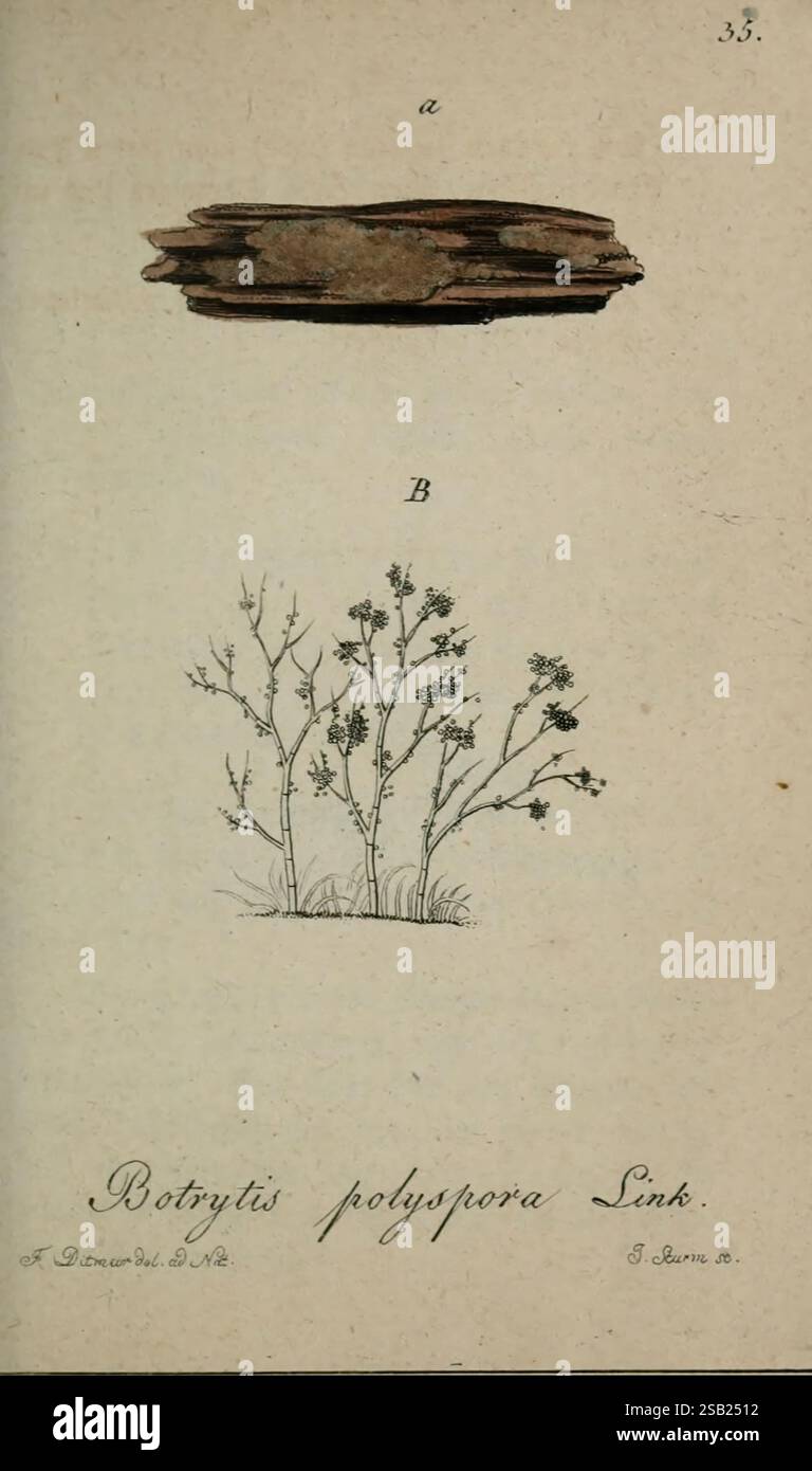 Two distinct parts labeled hi-res stock photography and images - Alamy