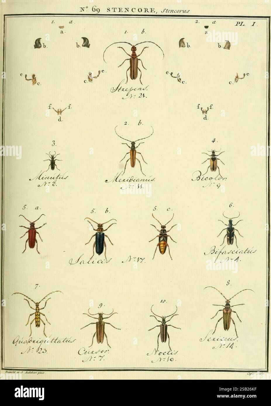 Entomologie, ou, Histoire naturelle des insectes A Paris De l ...