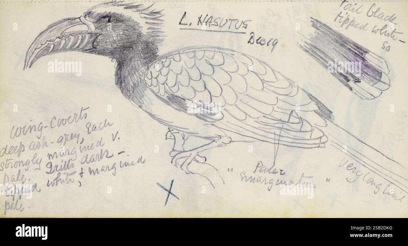 Various handwritten notes hi-res stock photography and images - Alamy