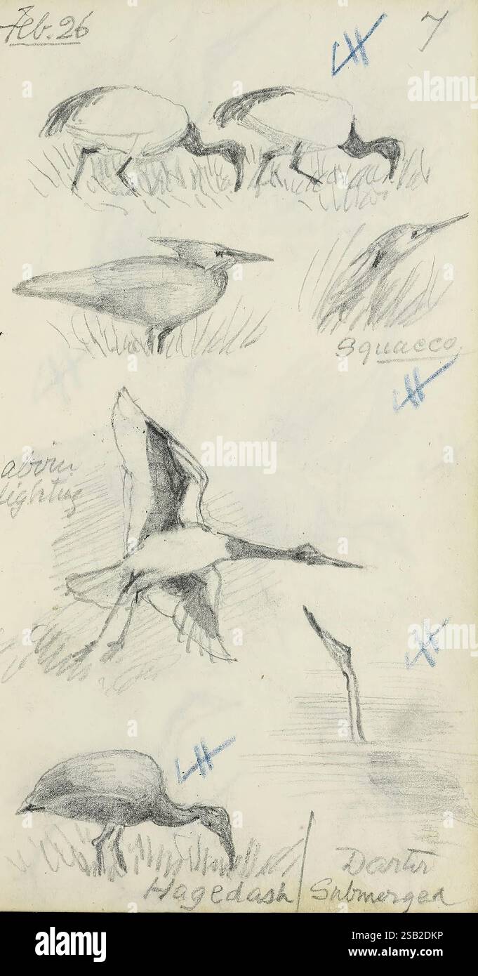 The illustration features a collection of sketches depicting various ...