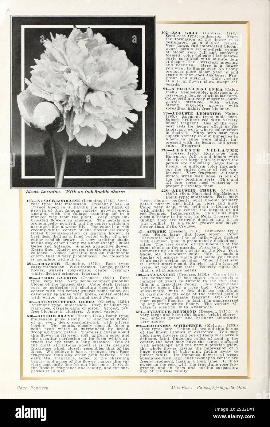 Layout combines informative content hires stock photography and images