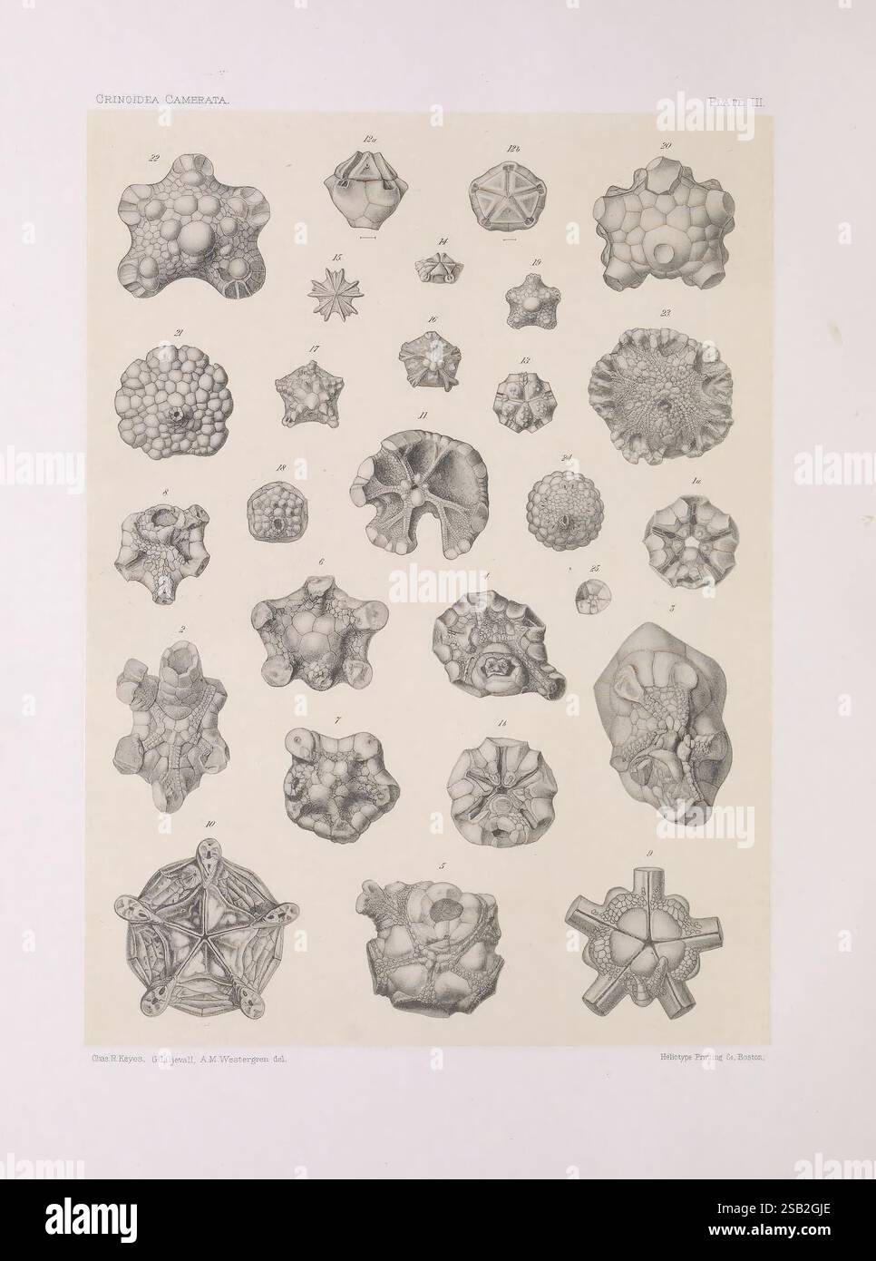 Amorphous spheres hi-res stock photography and images - Alamy