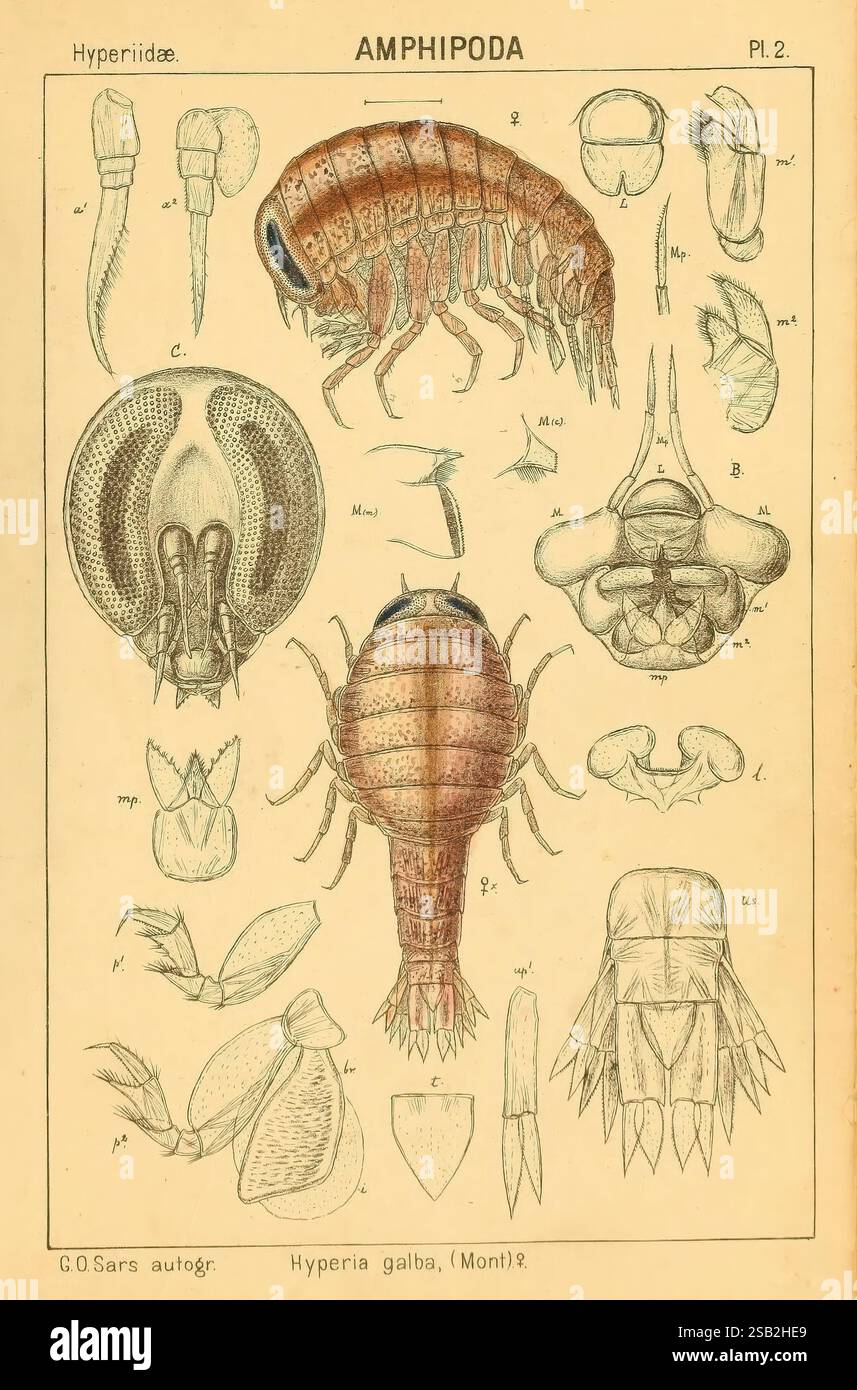 Prominent specimen labeled hi-res stock photography and images - Alamy