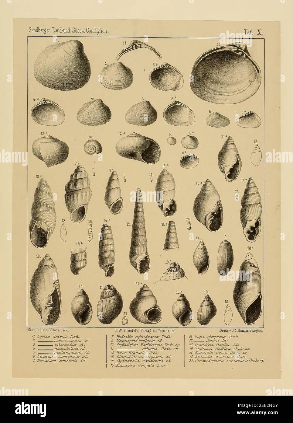Precise lines showcasing hi-res stock photography and images - Alamy